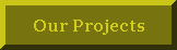 Wild Projects