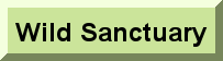 Sentience Subscription